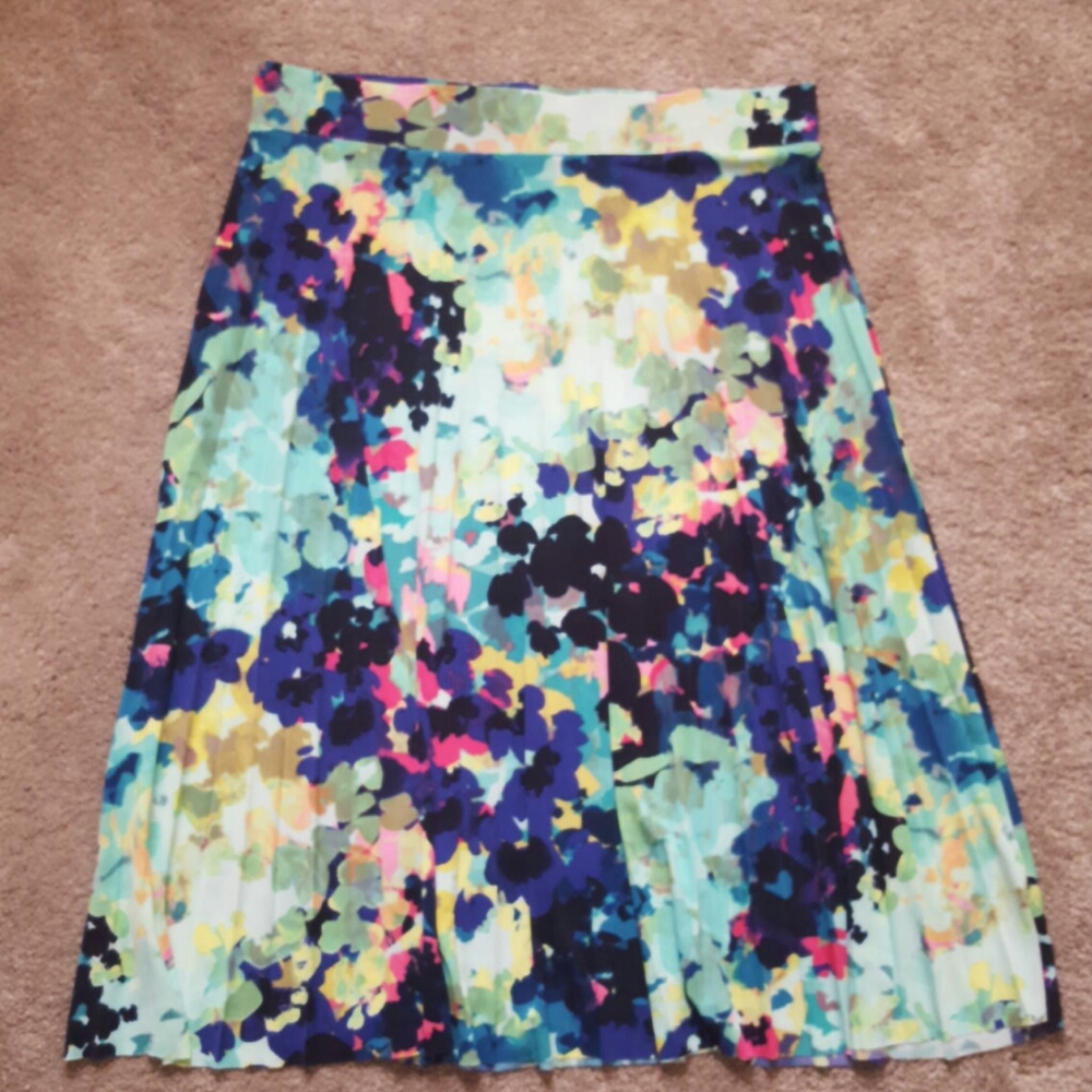 Pleated Skirt